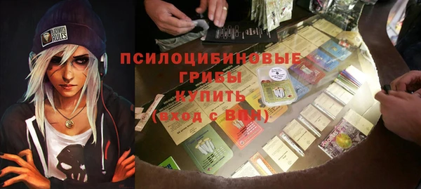 mdpv Верея