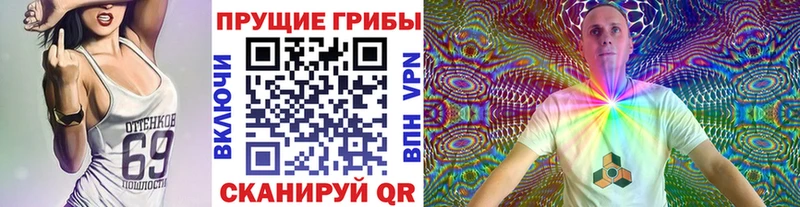 Купить закладки  Мариинский Посад  Псилоцибиновые грибы Cubensis 