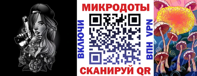 Галлюциногенные грибы Psilocybe Мариинский Посад